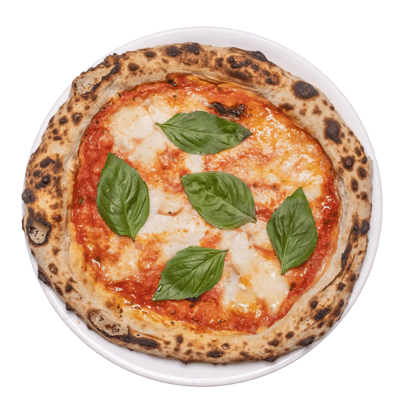 MARGHERITA